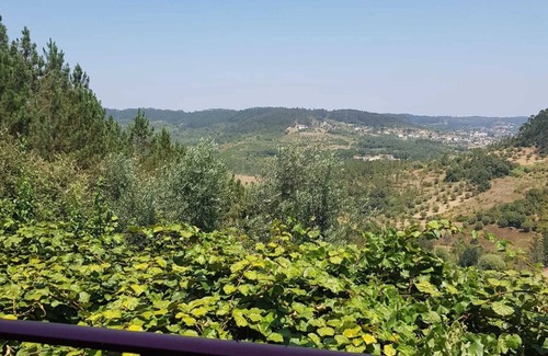 Ourem Wohnung | Homerez - Charming Studio in Matas with Pool