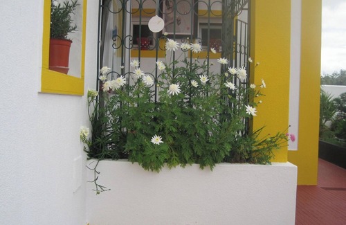 Alandroal Haus | Homerez - Geräumiges Haus in Alandroal mit Garten