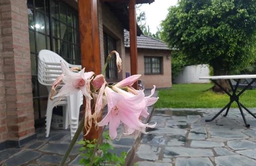 Moron Haus | Homy home