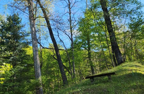 Morgantown Sonstige | HOOTERHILLS