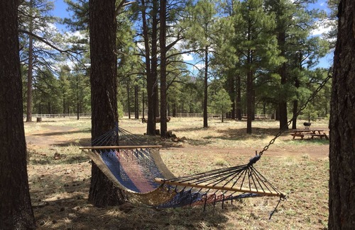 Flagstaff Kabine | Pferde erlaubt, Eigenes, 5 Morgen Pine Forest Next To Picture Canyon Preserve