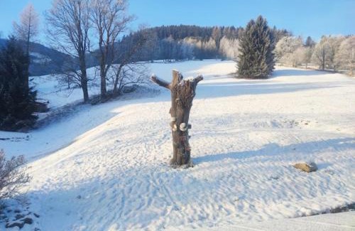 Pec pod Snezkou Skihütte | Horská chata - U Pivči