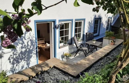 Munstermaifeld Haus | Hortensia Mosel Comfortable holiday residence