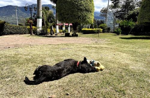 Choachi Haus | Hospedaje Campestre Las Palmas 104