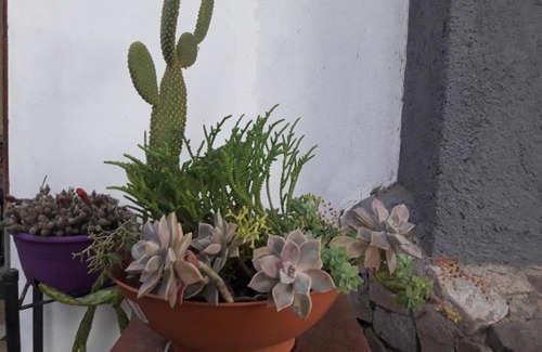 Rio Ceballos Haus | Casa "Paraiso de Nai" habitaciones con cocina completa y baño privado