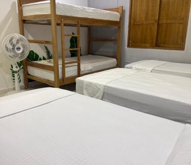 Palomino Haus | Hostal Cilipo