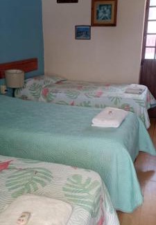 Zona Minerva Haus | Hostal don Felipe