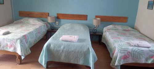 Zona Minerva Haus | Hostal don Felipe
