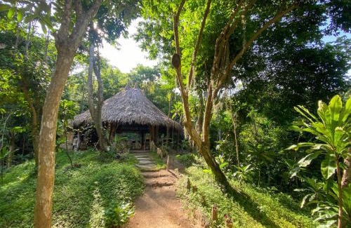 Canaveral Hotel | Hostal Paraíso Tayrona Kogui