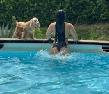 Pinchote Haus | Hostal Sueño Real Campestre