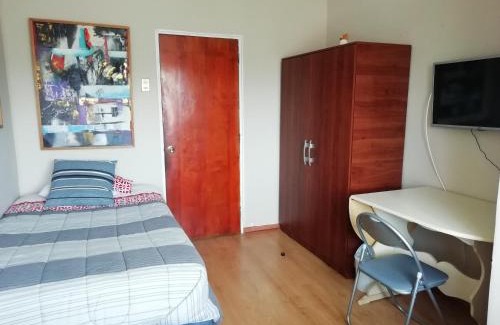Concepcion Haus | Hostal Vivo Concepción