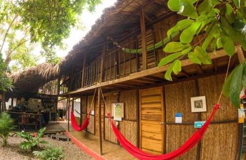 Palomino Haus | Hostal Zinpar