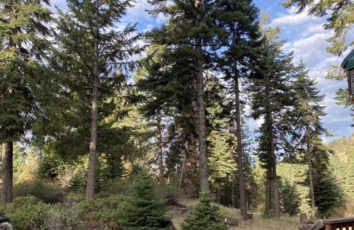 Ashland Kabine | Hot Tub! Peaceful Mountain Cabin at Hyatt Lake