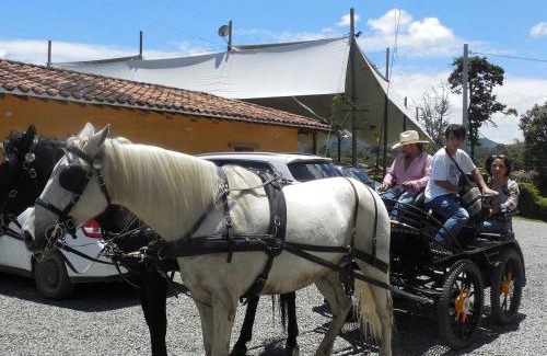 Rionegro Hotel | Hotel Campestre Ronda Ecuestre Rionegro