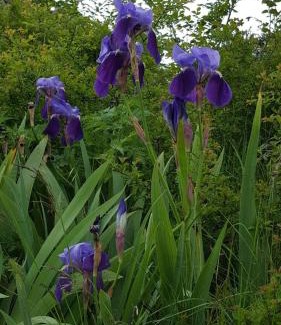 Tella Haus | Hotel de Montaña Lamiana