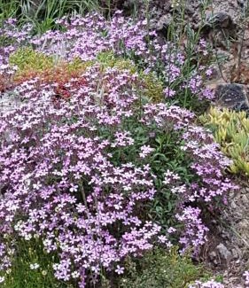 Tella Haus | Hotel de Montaña Lamiana