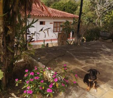 Los Santos Hotel | Hotel Ecoposada Viña de Aldana