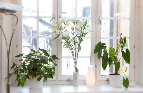 Ostersund Hotel | Hotel Emma