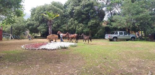Quintero Haus | Hotel Haras Casacampo