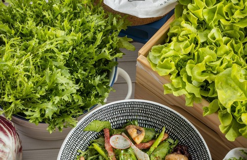 Zhongshan Hotel | Hotel Indigo Taipei North, an IHG Hotel