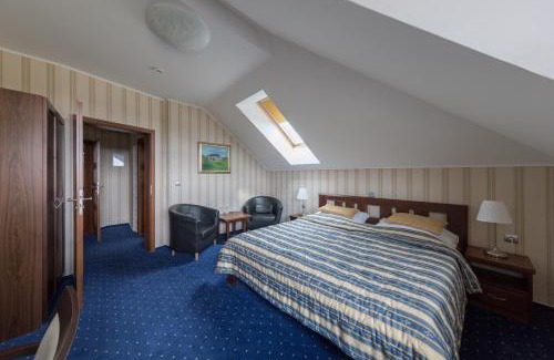 Cinovec Hotel | Hotel Krušnohorský Dvůr