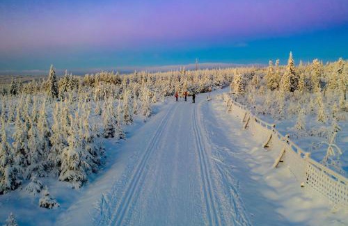 Cinovec Hotel | Hotel Krušnohorský Dvůr