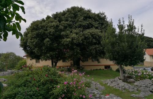 Celorio Hotel | Hotel La Encina Celorio Llanes