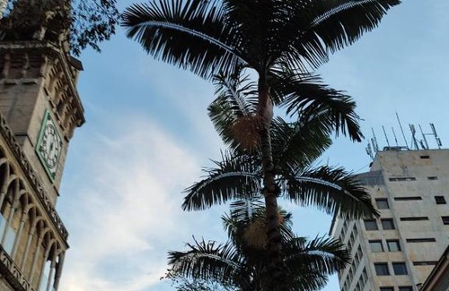 Manizales Hotel | HOTEL LA REPUBLICA MANIZALES