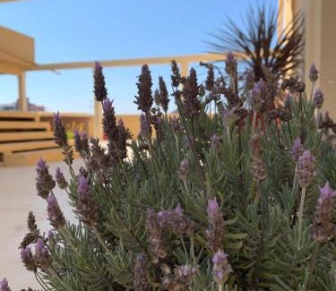 Gualeguaychu Hotel | Hotel Los Angeles