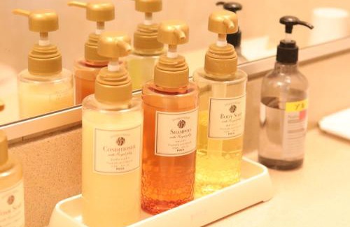 Matsumoto Hotel | Hotel Montagne Matsumoto - Vacation STAY 73649v