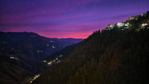 Shimla Haus | Hotel Royal Cedar Simla