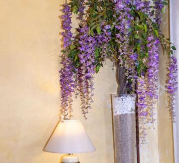 Varedo Hotel | Hotel Victoria