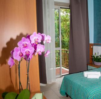 Varedo Hotel | Hotel Victoria