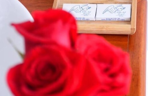 Old Town Haus | HOTEL VILLA DEL ANGEL