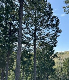 Midori Ward Haus | Hourokusha - Vacation STAY 13417