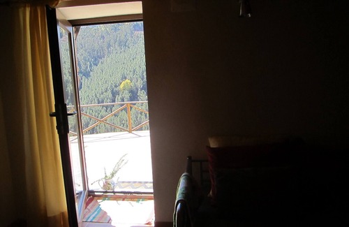 Gois Hütte | Haus der Oliven (Soito / Góis)