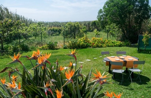Ericeira Haus | House