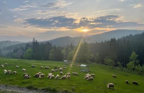Polgrun Wohnung | Hrčavská Mlékárna