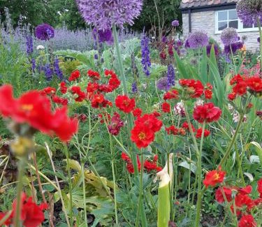 Wedmore Haus | Huberts,