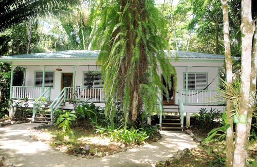 Forest Home Hütte | HUGE! Belize Vacation Lodge, 1 to 6 Private Cottages Plus Fully Equipped Kitchen