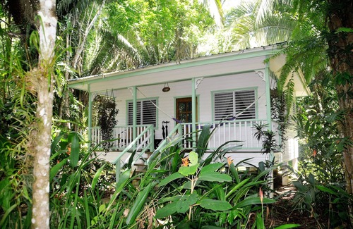 Forest Home Hütte | HUGE! Belize Vacation Lodge, 1 to 6 Private Cottages Plus Fully Equipped Kitchen