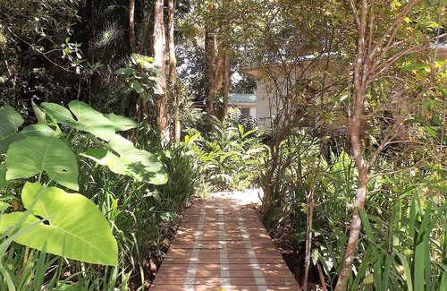 Forest Home Hütte | HUGE! Belize Vacation Lodge, 1 to 6 Private Cottages Plus Fully Equipped Kitchen