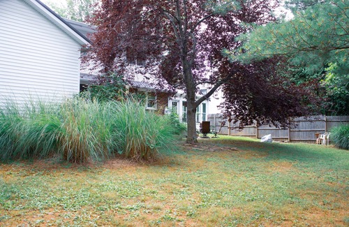Bloomington Haus | Huge Manor w Indoor Hot Tub and Pool Table