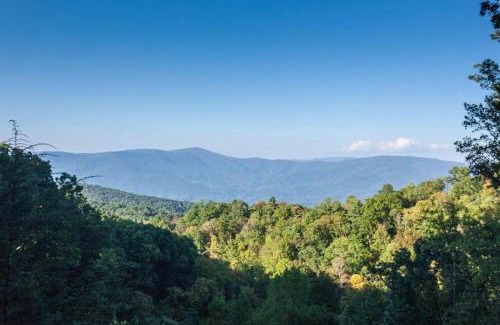 Chatsworth Haus | Hummingbird Haven