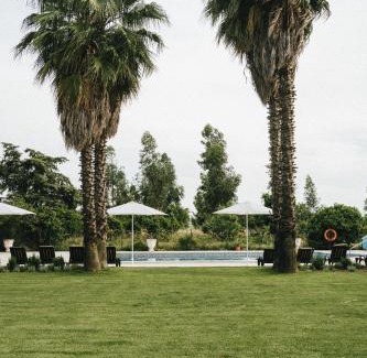 Palmela Haus | Humus Farm