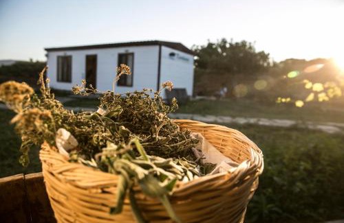 Kalekoy Koyu Resort | İmroz Kardamos Hotel