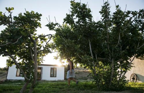 Kalekoy Koyu Resort | İmroz Kardamos Hotel