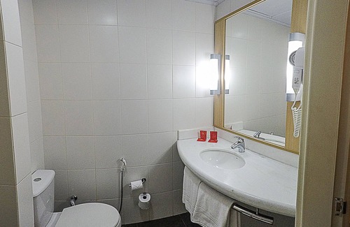 Centro Hotel | ibis Montenegro