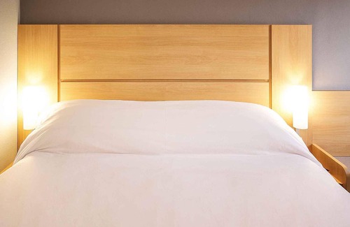 Centro Hotel | ibis Montenegro