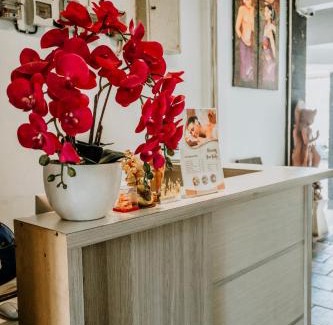 By Pass Ngurah Rai Hotel | Denays Guest House Jimbaran